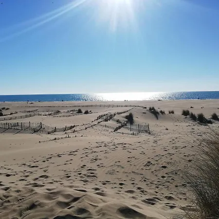 Daire Les Cigales De Mer - Studio Climatise A 100m De La Mer !